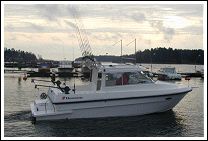 boat.jpg (8383 bytes)