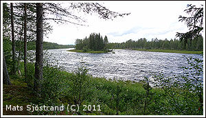 Vid Glissjöberg-Mosätt FVO, foto av Mats Sjöstrand 2011 ©