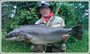 2010-08-06. Havs&ouml;ring p&aring; 8,2 kilo f&aring;ngad i L&ouml;gde&auml;lven