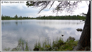 Ränningarna (Rändingarna)