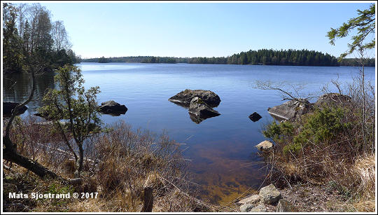 Vy över Örsjön, fotograf Mats Sjöstrand 2017 