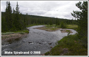 Storån, från sträcka uppströms Hällsjön