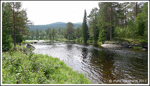 Tännån, Sträcka på Nättan Skog & Fritid