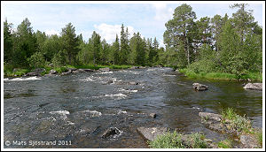 Tännån, Sträcka på Nättan Skog & Fritid