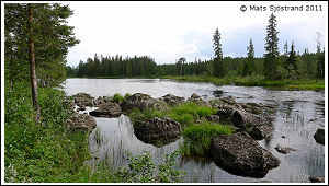 Tännån, Sträcka inom Tännäs FO