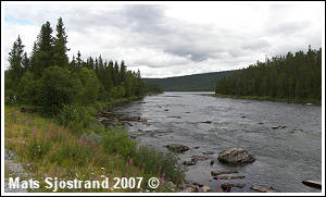 Storforsen