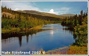 Dammån vid Höglekardalen