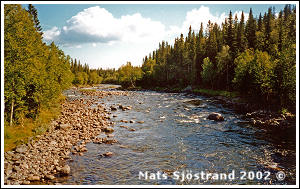 Dammån vid Bydalen