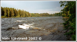 Indalsälven vid Kvitsleströmmen 2002