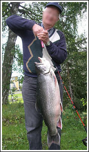 Röding10.830 gr 