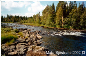 Sölvbackaströmmarna 2002, av Mats Sjöstrand 2002